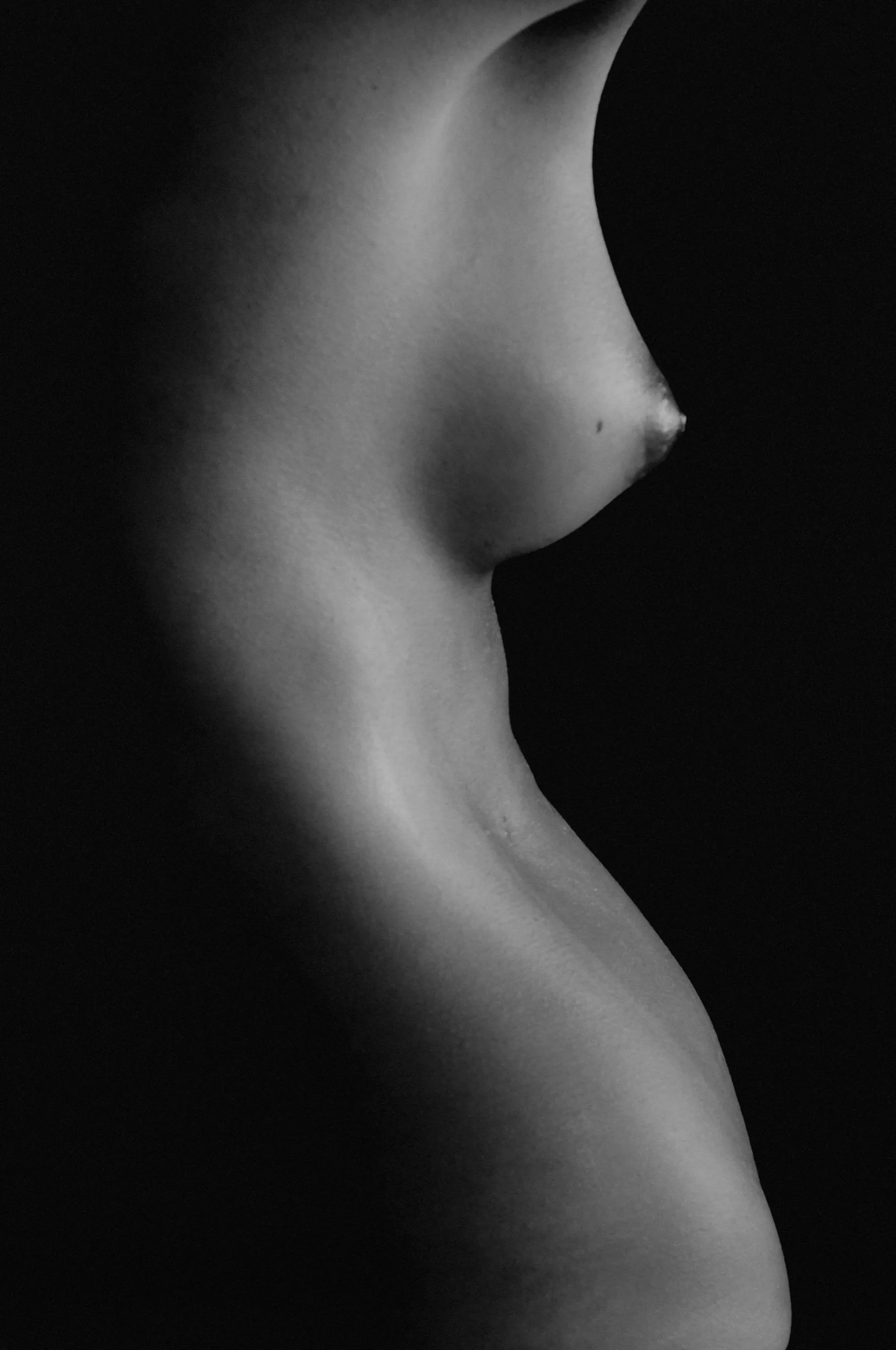 Torso femenino de perfil en claroscuro — Manifiestos del Alma